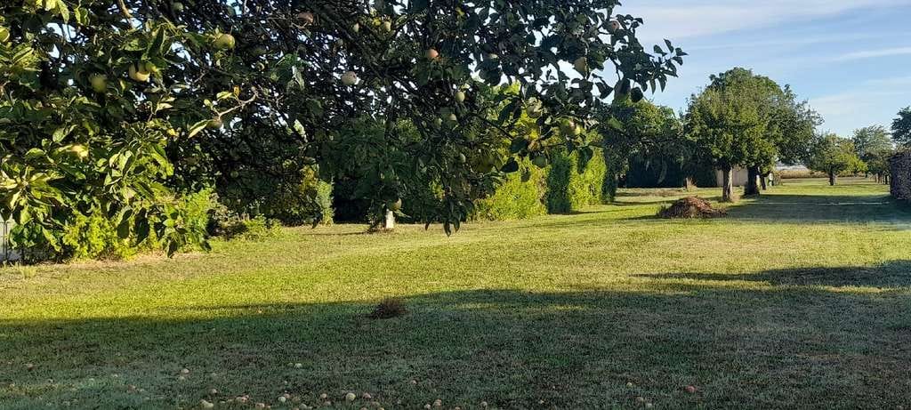Immobilie in Kappel-Grafenhausen - Ruhiges Einfamilienhaus mit großzügigem Grundstück und weiterer Baumöglichkeiten - Bild 2