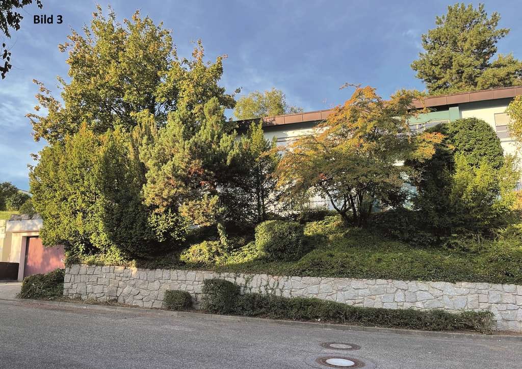 Immobilie in Auggen - Fantastische Aussichten:   Großzügiges Wohnhaus für gehobene Ansprüche - Bild 2