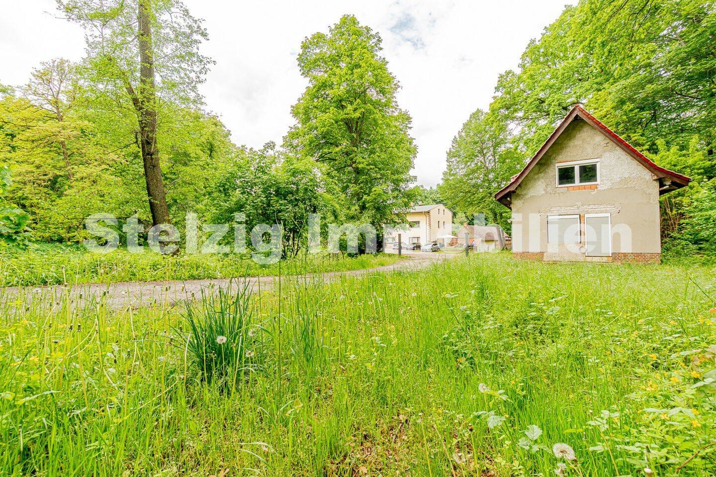 Immobilie in Spremberg - Parkanwesen am Mühlengrund - Bild 1