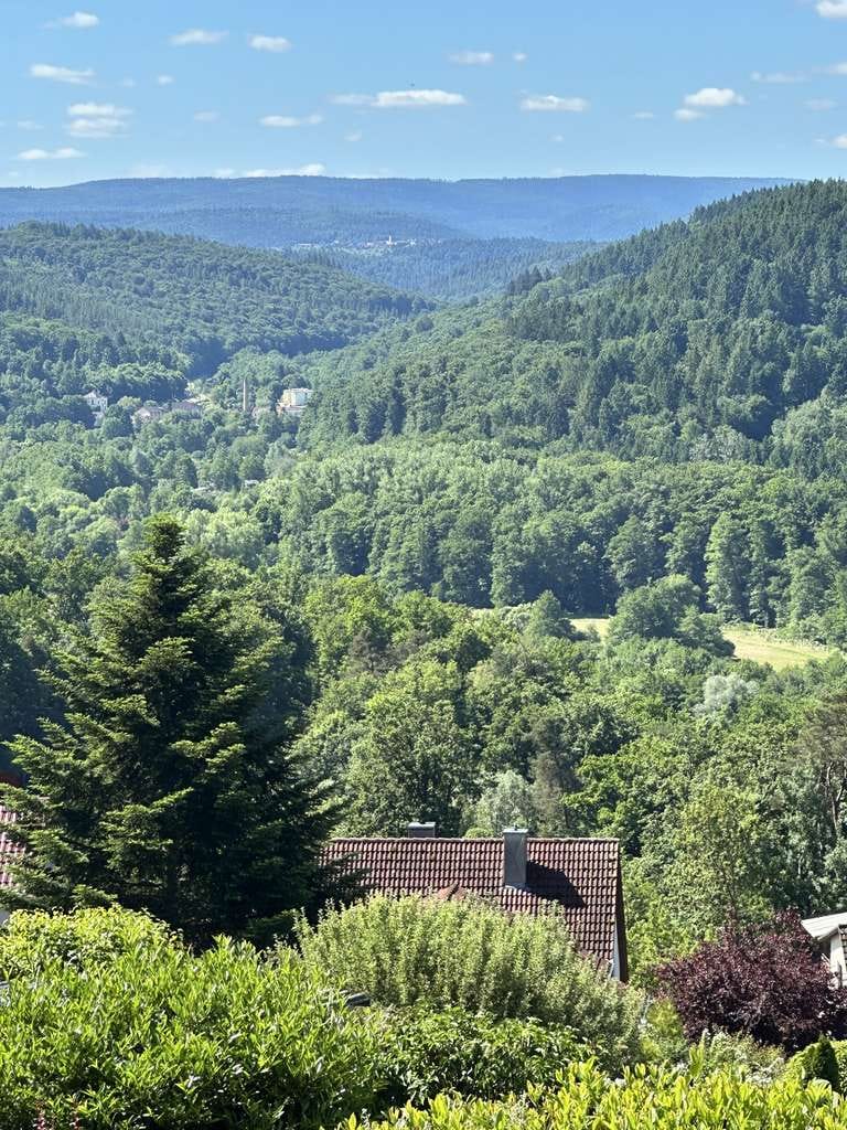 Immobilie in Waldbronn - LAGE, LAGE, LAGE - DHH auf schönem Grundstück mit TraumBLICK ins Albtal in Busenbach - Bild 0