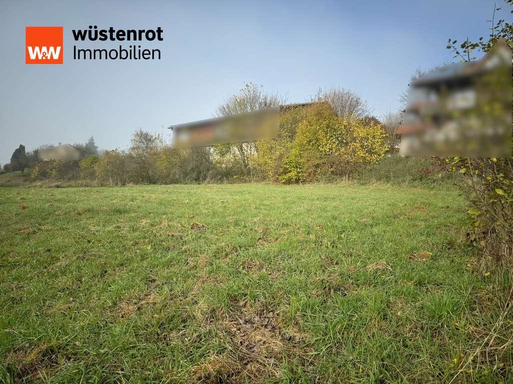 Immobilie in Münsingen - Ländliches Idyll sucht Visionär - Bild 3