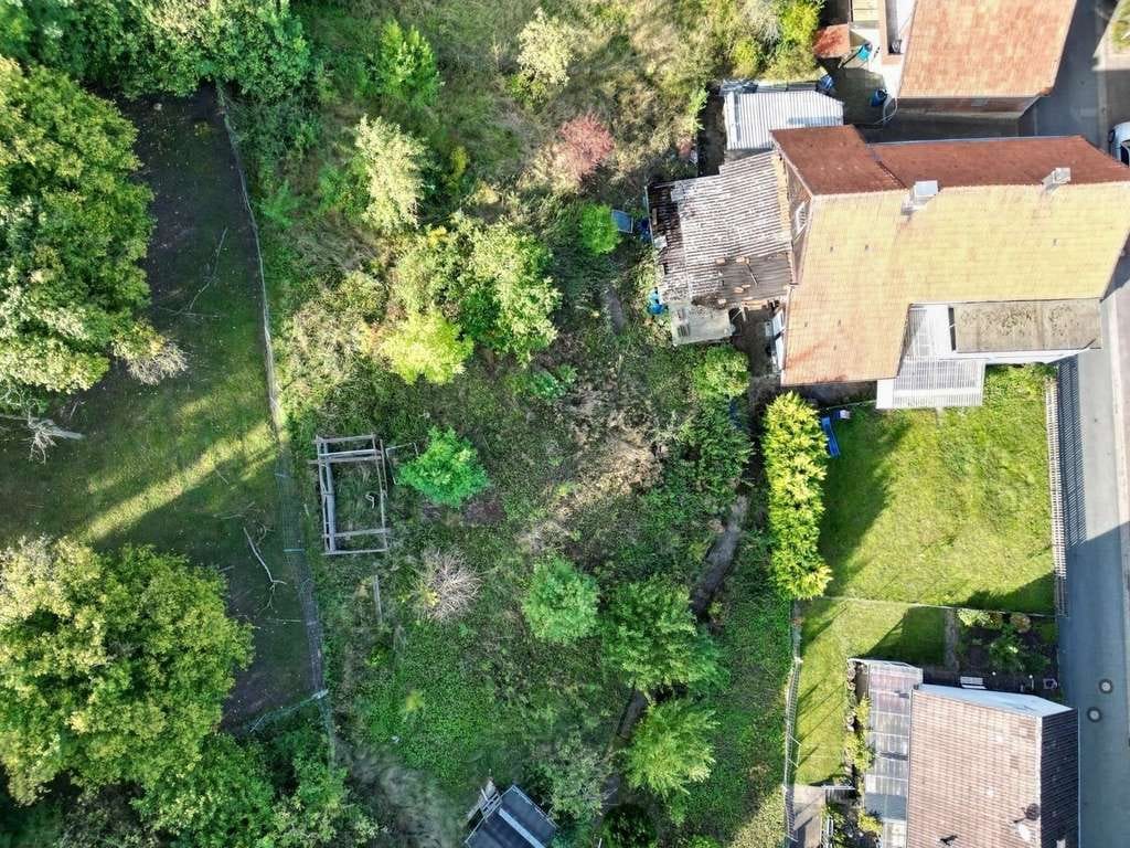 Immobilie in Brakel - Einfamilienhaus mit großem Garten - Bild 4