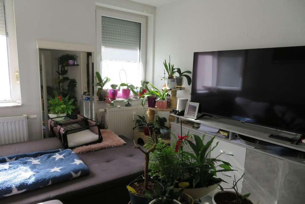 Immobilie in Oppenweiler - Ort der Gemütlichkeit: 4-Zi.-Whg. in Altstadt - Bild 4