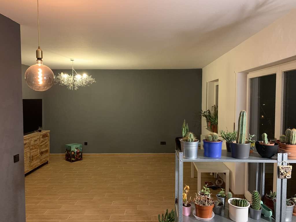 Immobilie in Veitshöchheim - 2-Zi.-Mietwohnung (renoviert) in Veitshöchheim/Birkental mit traumhafter Aussicht/Umgebung - Bild 4