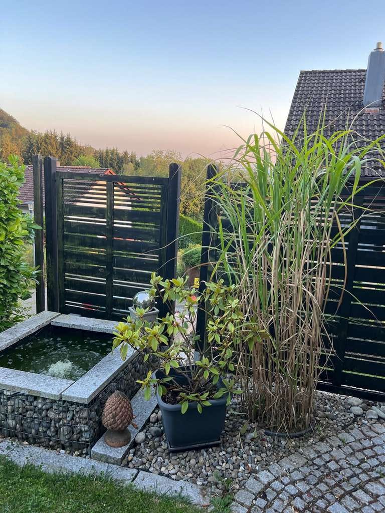 Immobilie in Heiligenberg - DHH inkl. Gäste Appartement mit Atemberaubenden Ausblick, VB! - Bild 2