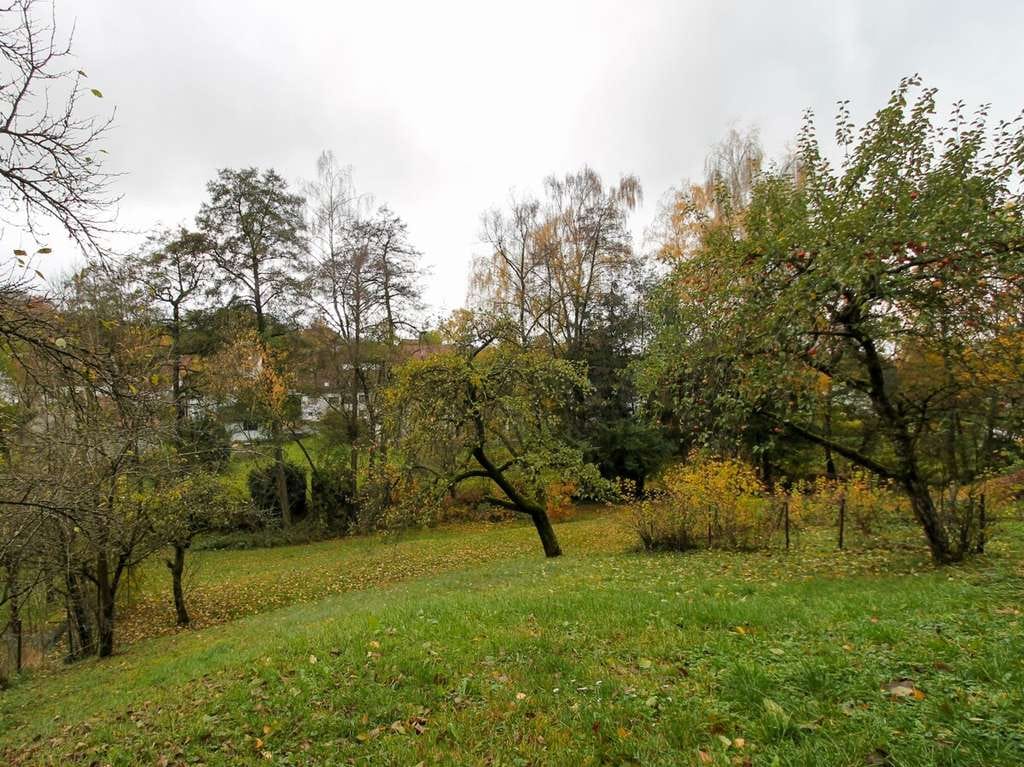 Immobilie in Freiensteinau - Einfamilienhaus mit großem Grundstück, idyllischen Grünflächen, Scheunen und Garagen in Freiensteina - Bild 2