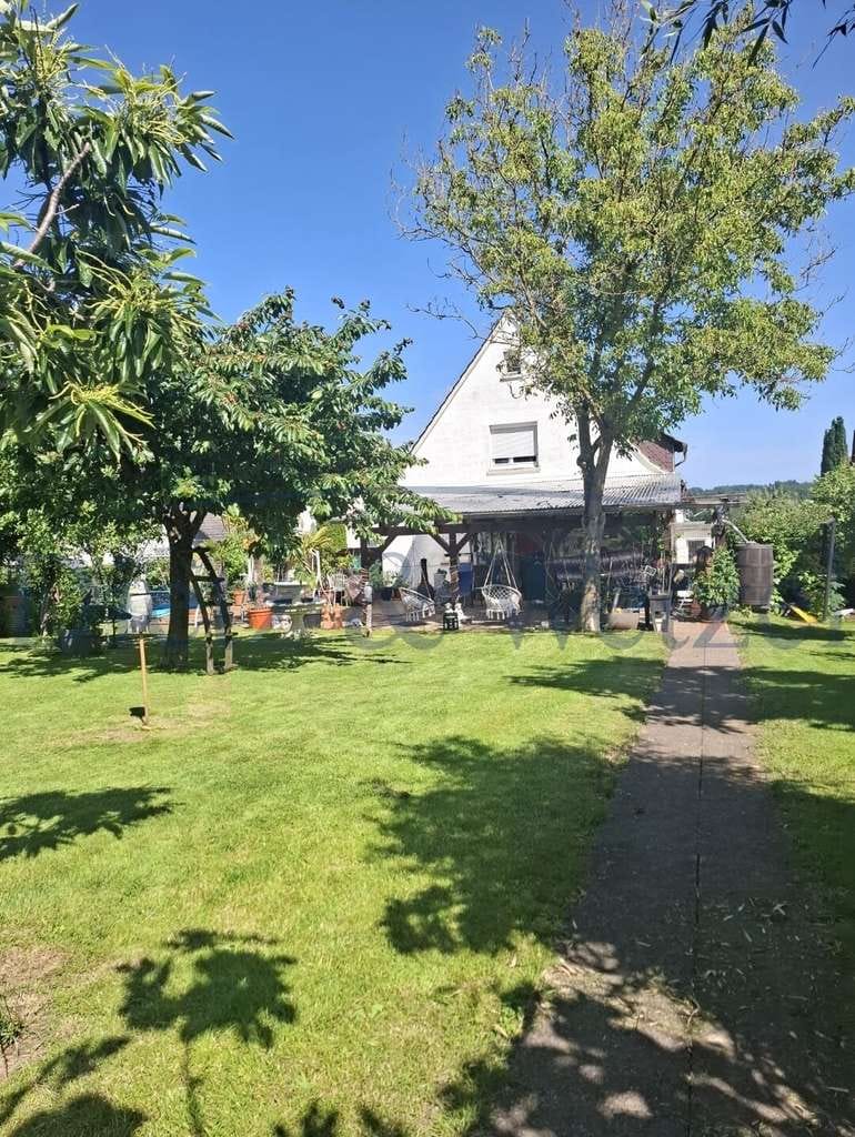 Immobilie in Allendorf (Lumda) - "Großzügiges 1-FMH mit traumhaftem Garten" - Bild 4