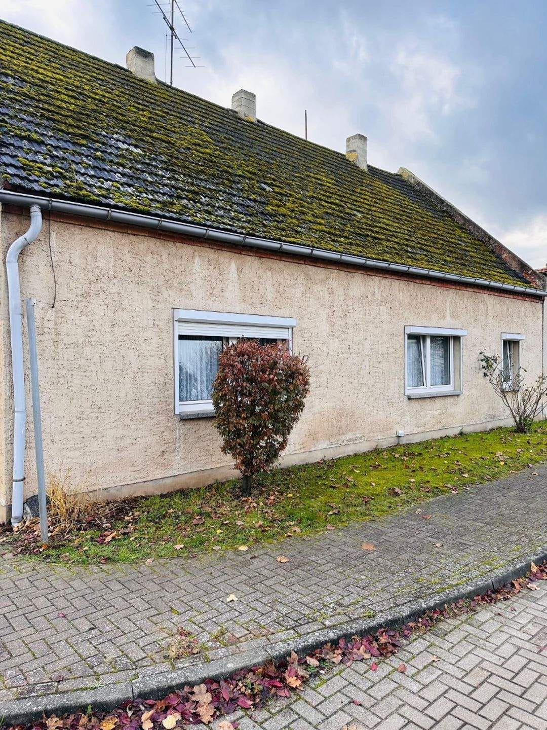Immobilie in Burg - Baugrundstück in Detershagen mit Sanierungsobjekt - Bild 4