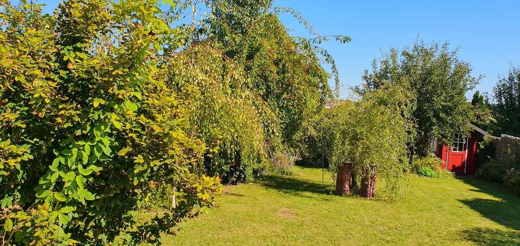 Immobilie in Reichertshofen - Großzügiges EFH mit 1.040 m² Grundstück - ideal für Pendler München/Ingolstadt (A9 in 5 Min.) - Bild 4