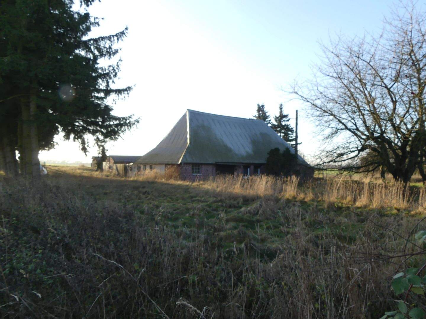 Immobilie in Klein Belitz - Bauernhaus mit großem Grundstück in ruhiger Lage - Bild 0
