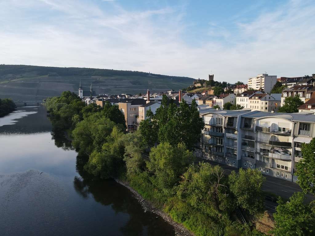 Immobilie in Bingen am Rhein - ***Ein-Zimmerwohnung mit Naheblick*** - Bild 0