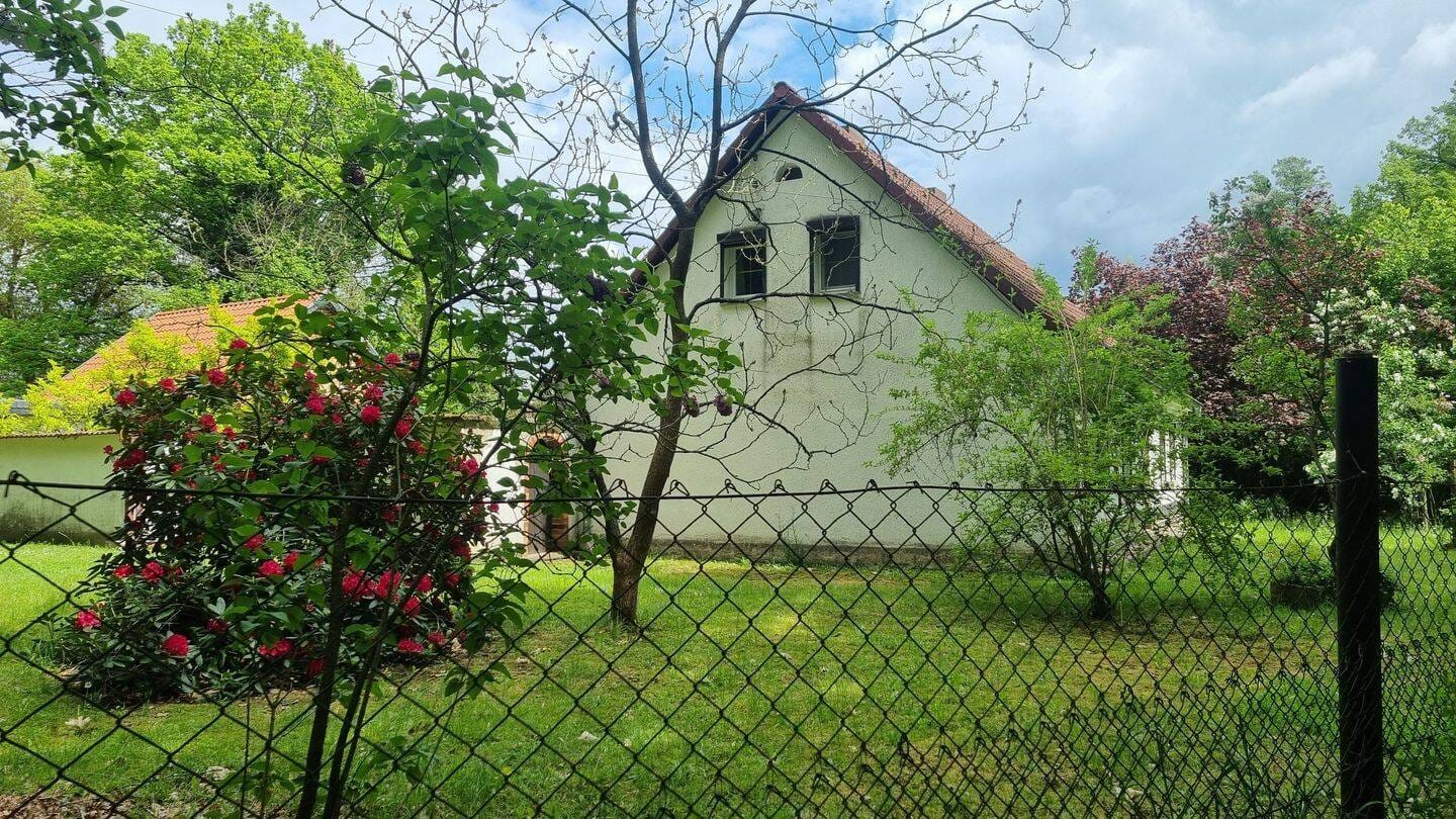 Immobilie in Sallgast - Charmantes Einfamilienhaus mit Scheune in idyllischer Lage in Sallgast - Ihr neues zu Hause am Schlosspark - Bild 2