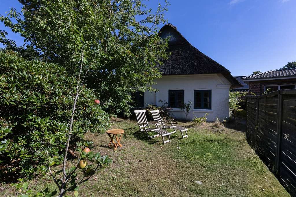Immobilie in Vaale - Charmantes Reetdachhaus mit Ausbaureserve im Dachboden - Bild 1