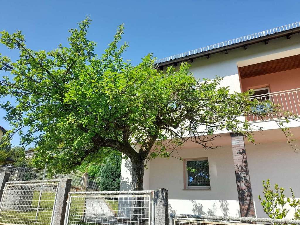Immobilie in Rodenbach - Freistehendes gedämmtes Haus mit großem Potenzial, Anbau & Garage – nur 20 Min. bis Hanau - Bild 1