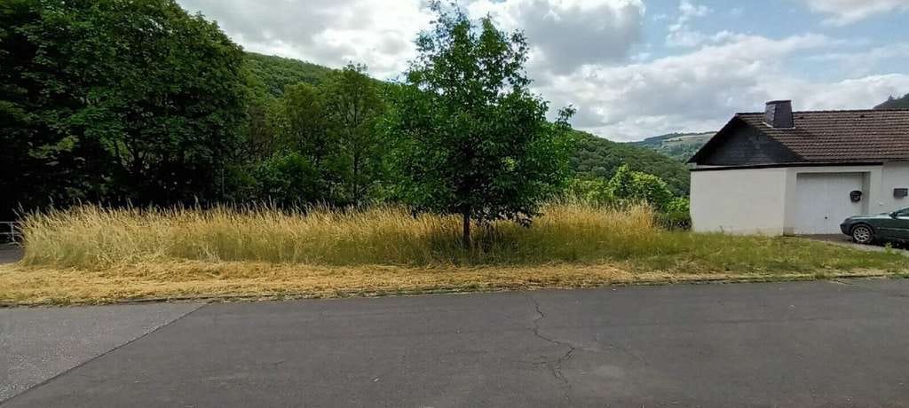 Immobilie in Ammeldingen bei Neuerburg - Arbeiten in Luxemburg und wohnen in der schönen Eifel! - Bild 4