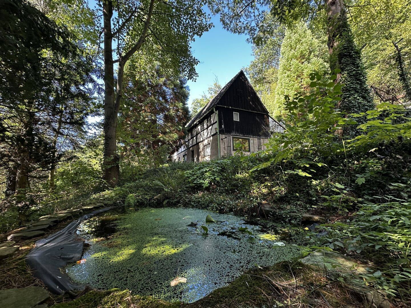 Immobilie in Waldheim - IDYLLE AM LSG! Alleinlage-Fachwerk EFH unter 80k mit Gewächshaus nahe Talsperre/ Burg Kriebstein - Bild 1