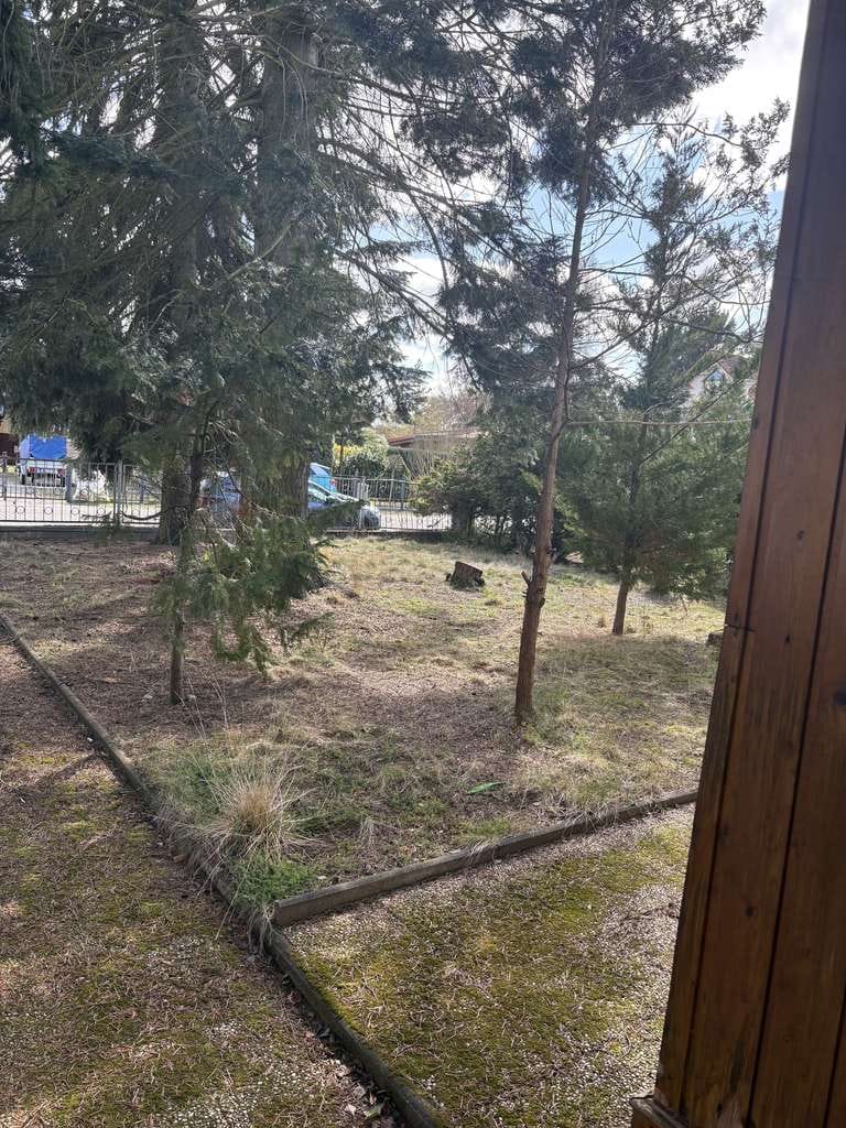 Immobilie in Schulzendorf - 🏚️ Handwerkertraum oder Neubau: EFH auf großem 1.133 m² Grundstück - Bild 3