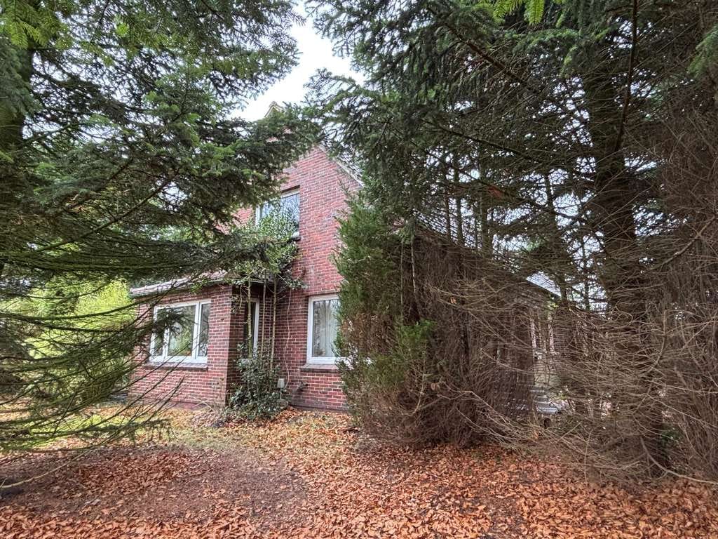 Immobilie in Großheide - Landhaus mit großem Grundstück in zentraler Lage von Großheide - Bild 1