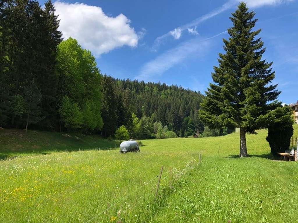 Immobilie in Enzklösterle - Ehemaliges Gästehaus mit traumhafter Lage am Bach – Ruhe und Natur pur - Bild 2