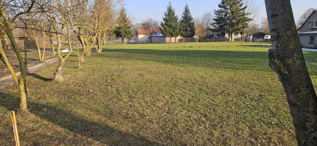 Immobilie in Nessetal - Idyllisches Grundstück mit Stadtvilla in angenehmer Lage in Brüheim - Bild 3