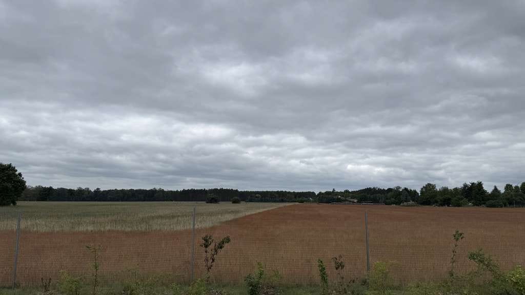 Immobilie in Bersteland - Aufwachen mit Feldblick... - Bild 2