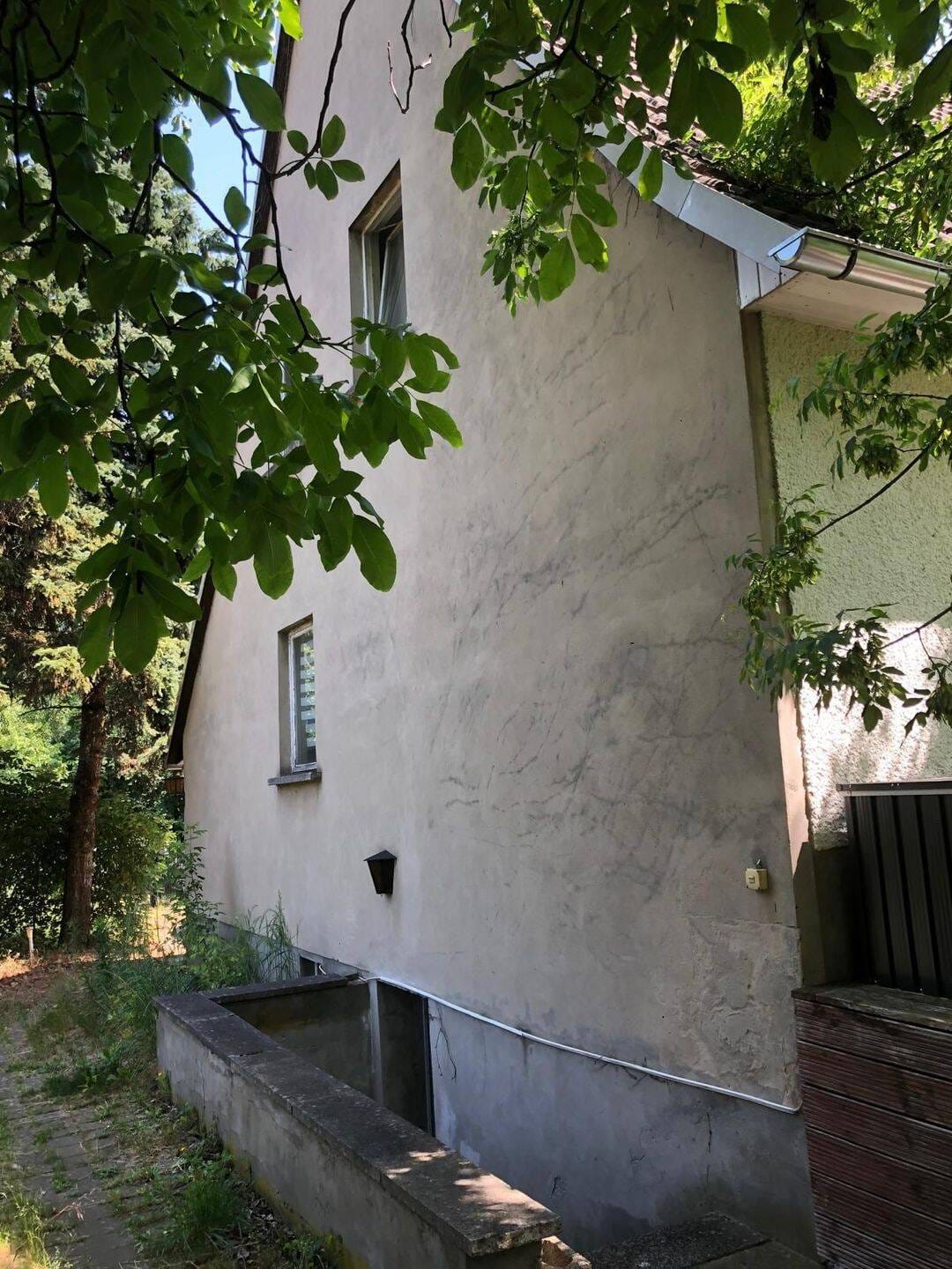 Immobilie in Werder (Havel) - Freistehendes Einfamilienhaus in idyllischer Waldrandlage von Werder - Bild 2