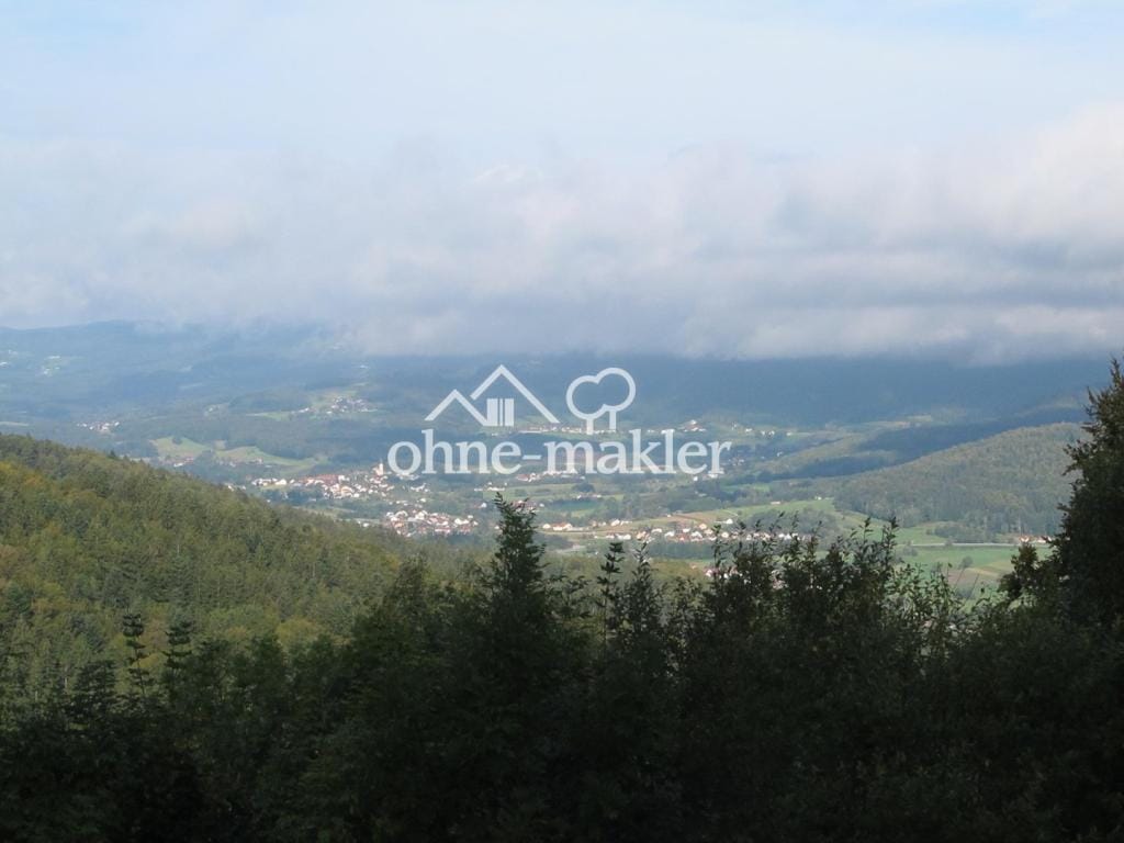 Immobilie in Schöfweg - Bauernhaus in Schöfweg - Bild 3