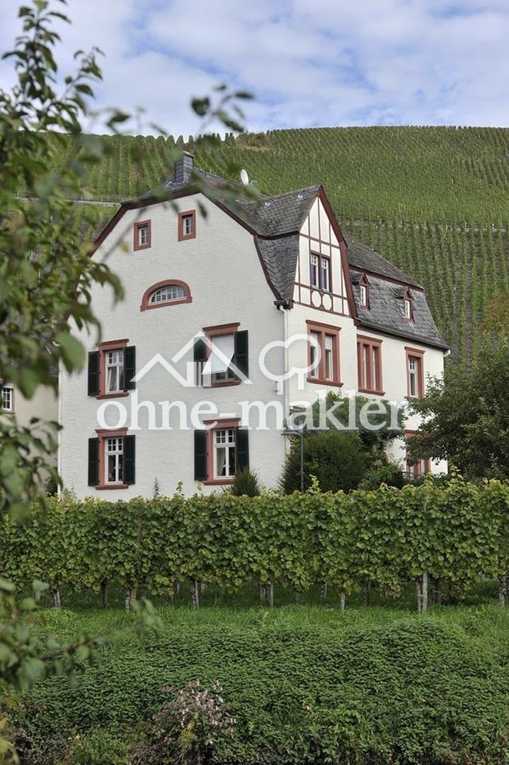 Immobilie in Neumagen-Dhron - Exklusives Landhaus, selten, außergewöhnlich, hohes Maß an Privatsphäre - Bild 0
