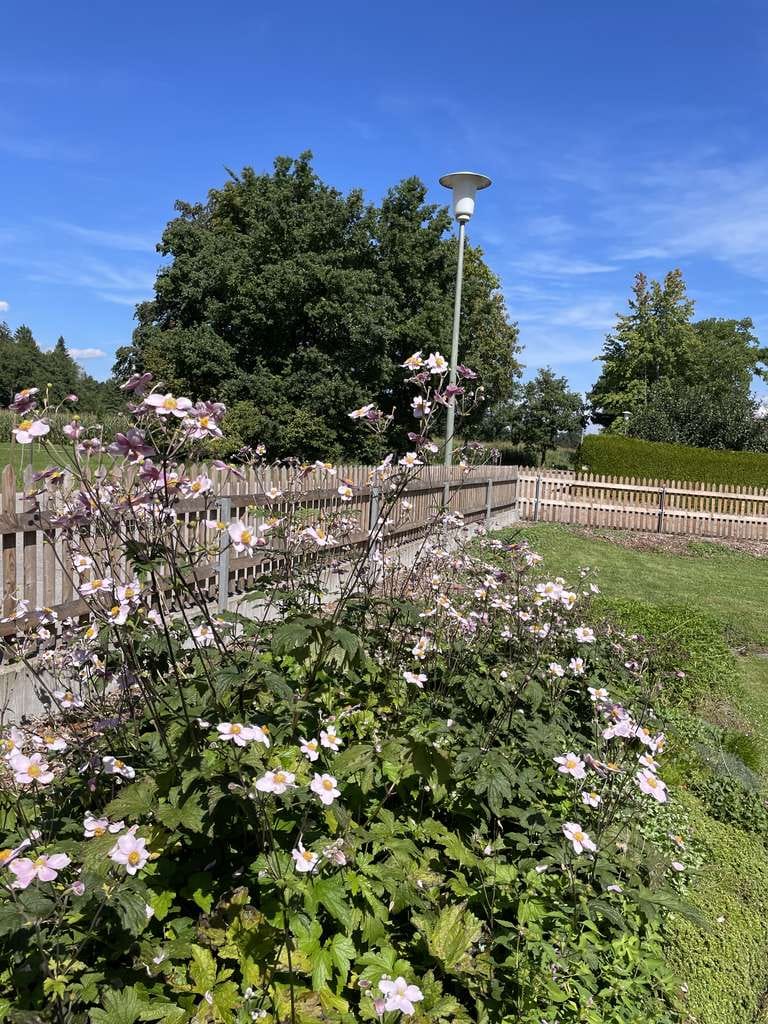 Immobilie in Seeshaupt - Kleine Doppelhaushälfte mit Garten und Garage in Seeshaupt - Bild 1