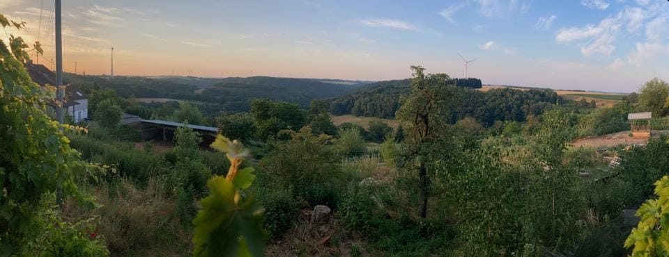 Immobilie in Schauerberg - Wohnhaus und Pferdehof in wunderschöner Natur- & Panoramalage - Bild 0