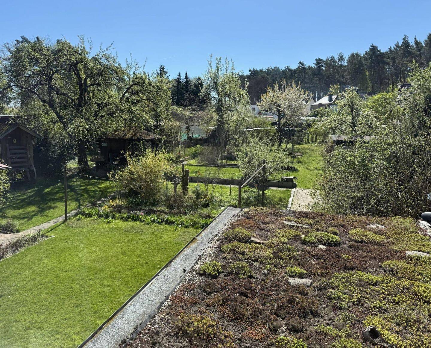 Immobilie in Neiße-Malxetal - Charmantes Einfamilienhaus mit urigem Garten - Bild 1