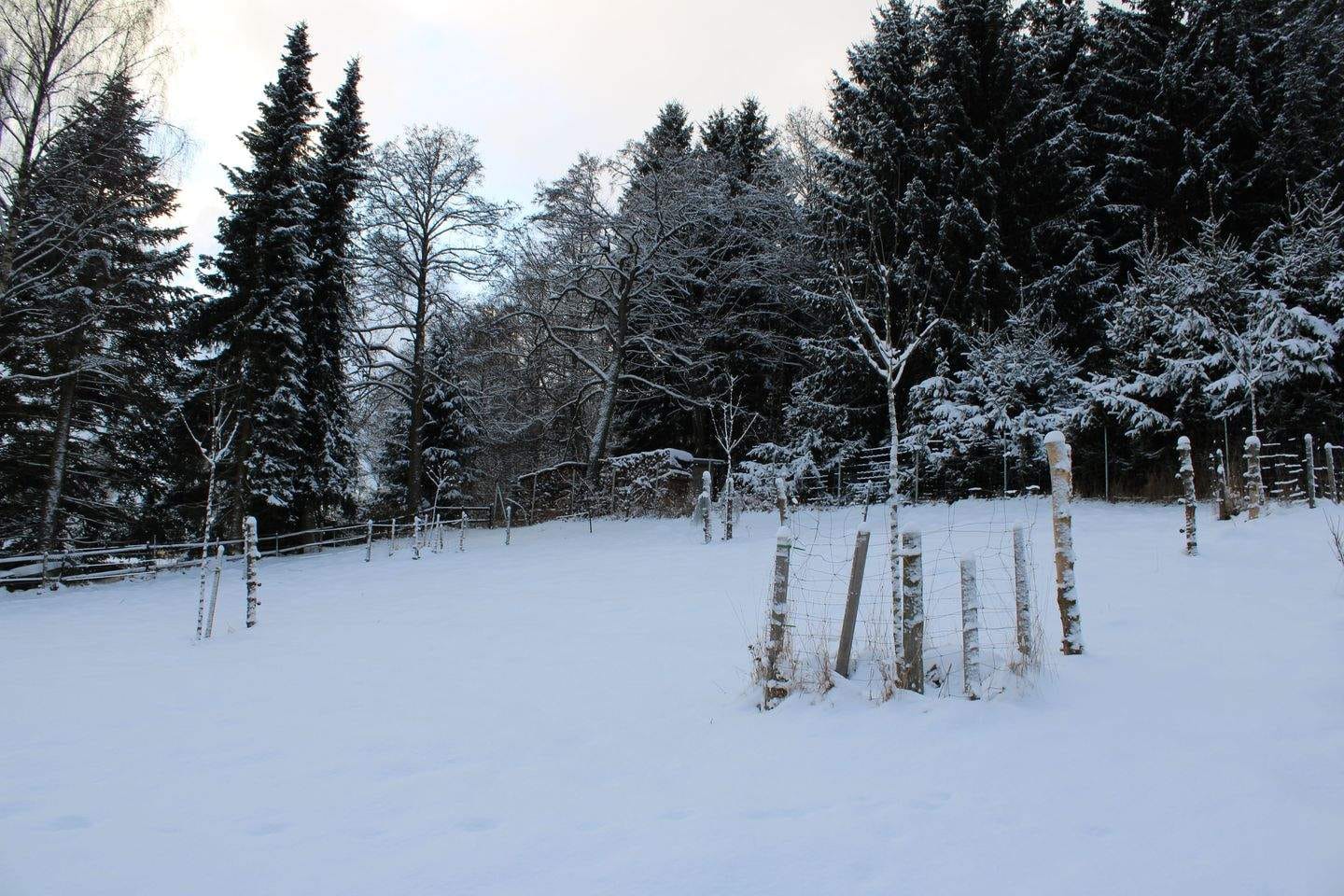 Immobilie in Jöhstadt - Geräumiges Familienhaus mit Terrasse in Jöhstadt - Bild 1