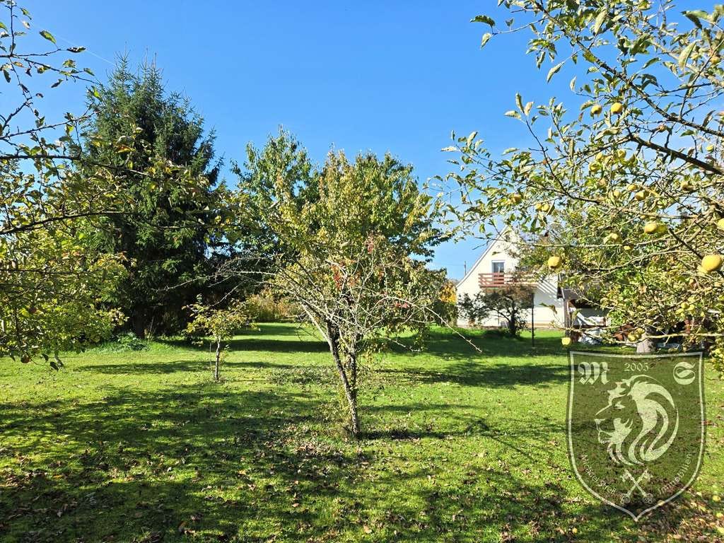 Immobilie in Lauingen (Donau) - Einfamilienhaus mit großem Grundstück - ideal für Handwerker - in Lauingen - Bild 3