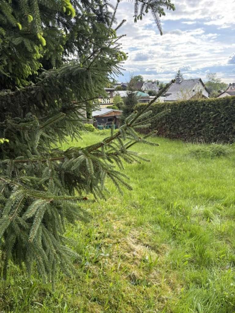 Immobilie in Rodewisch - 08228! Beliebte Lage - Familie für eine Doppelhaushälfte gesucht! - Bild 2