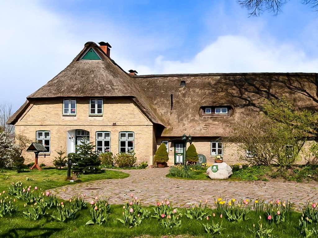 Immobilie in Schafstedt - Stilvolles Landhaus für die ganze Familie - Bild 1