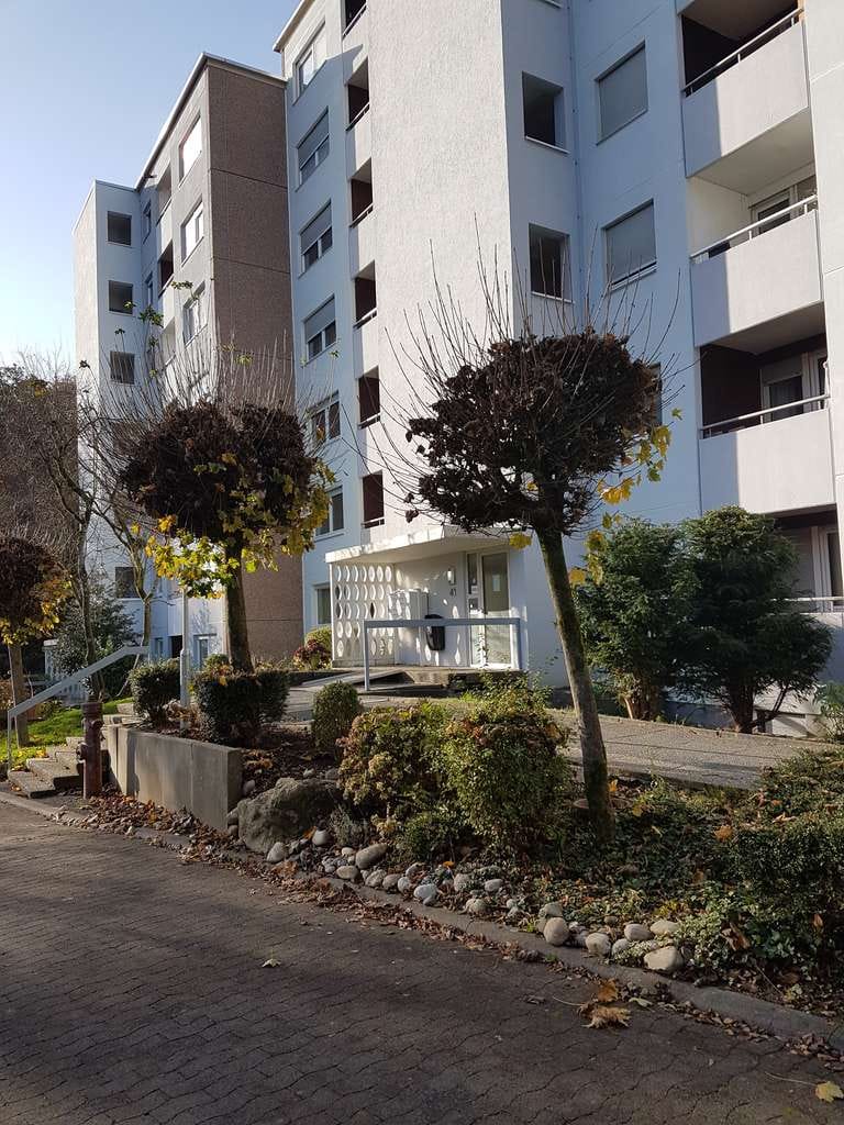 Immobilie in Eppstein - ETW zum Schnäppchenpreis - Moderne dreieinhalb Zimmerwohnung  (Angebotspreis nicht verhandelbar) - Bild 3