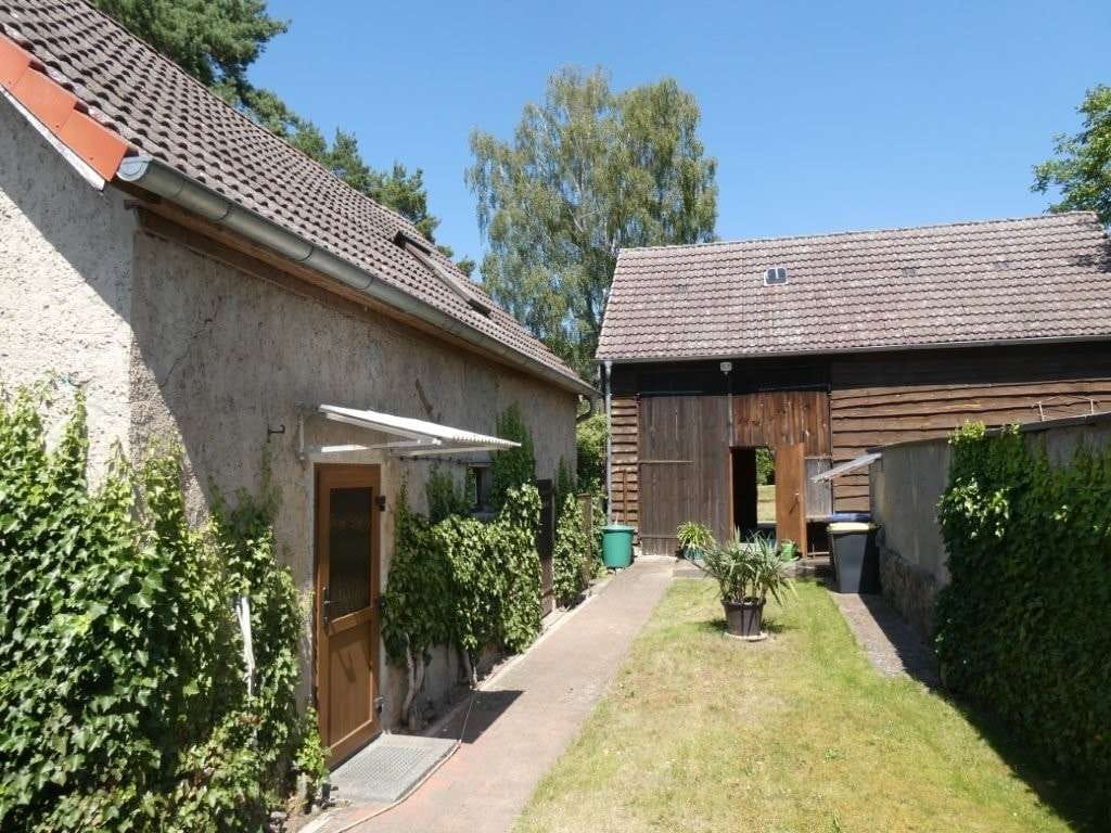 Immobilie in Stechlin - Grundstück mit Doppelhaus, Ferienwohnung, Partyscheune und Gartenteich - Bild 2