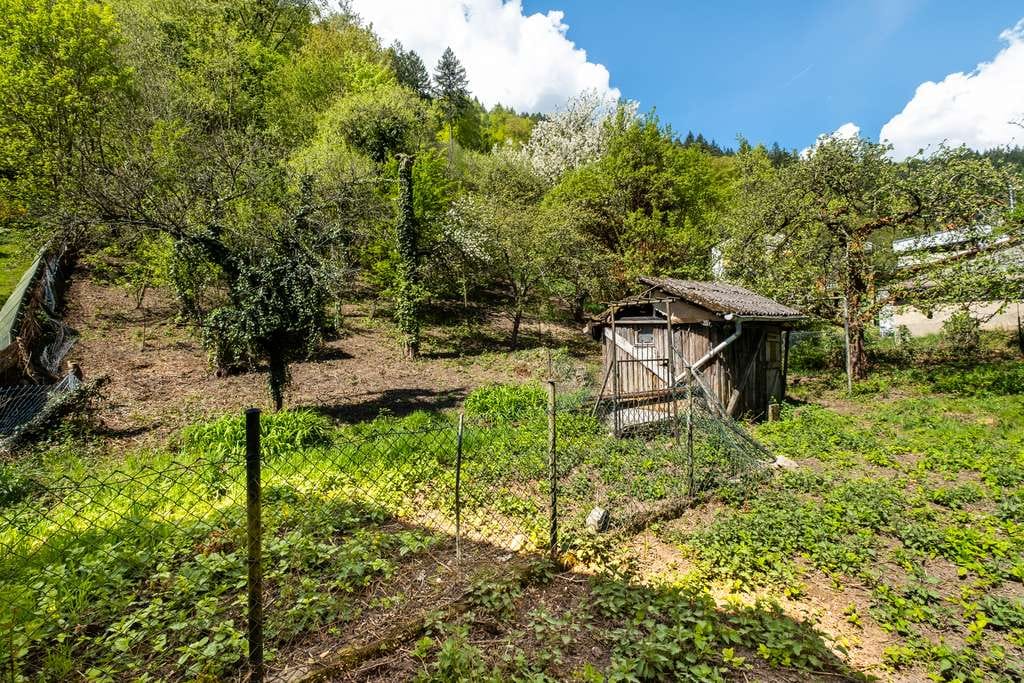 Immobilie in Heidelberg - Großzügig Wohnen mit Blick in die Natur: Zweifamilienhaus mit Einliegerwohnung in Ziegelhausen - Bild 4
