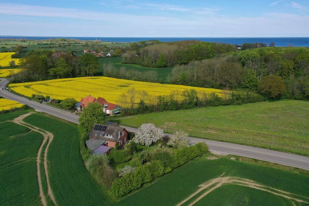 Immobilie in Kronsgaard - Eine Idylle an der Ostsee 1,3 km bis zum Strand + Ferienverm. ist möglich. - Bild 0