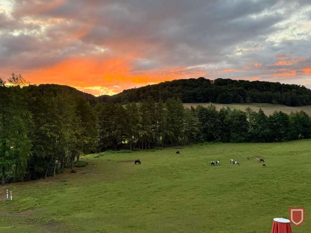 Immobilie in Liebenau - Komfortables naturnahes Wohnen im Feriendorf Zwergen/Liebenau - Bild 2