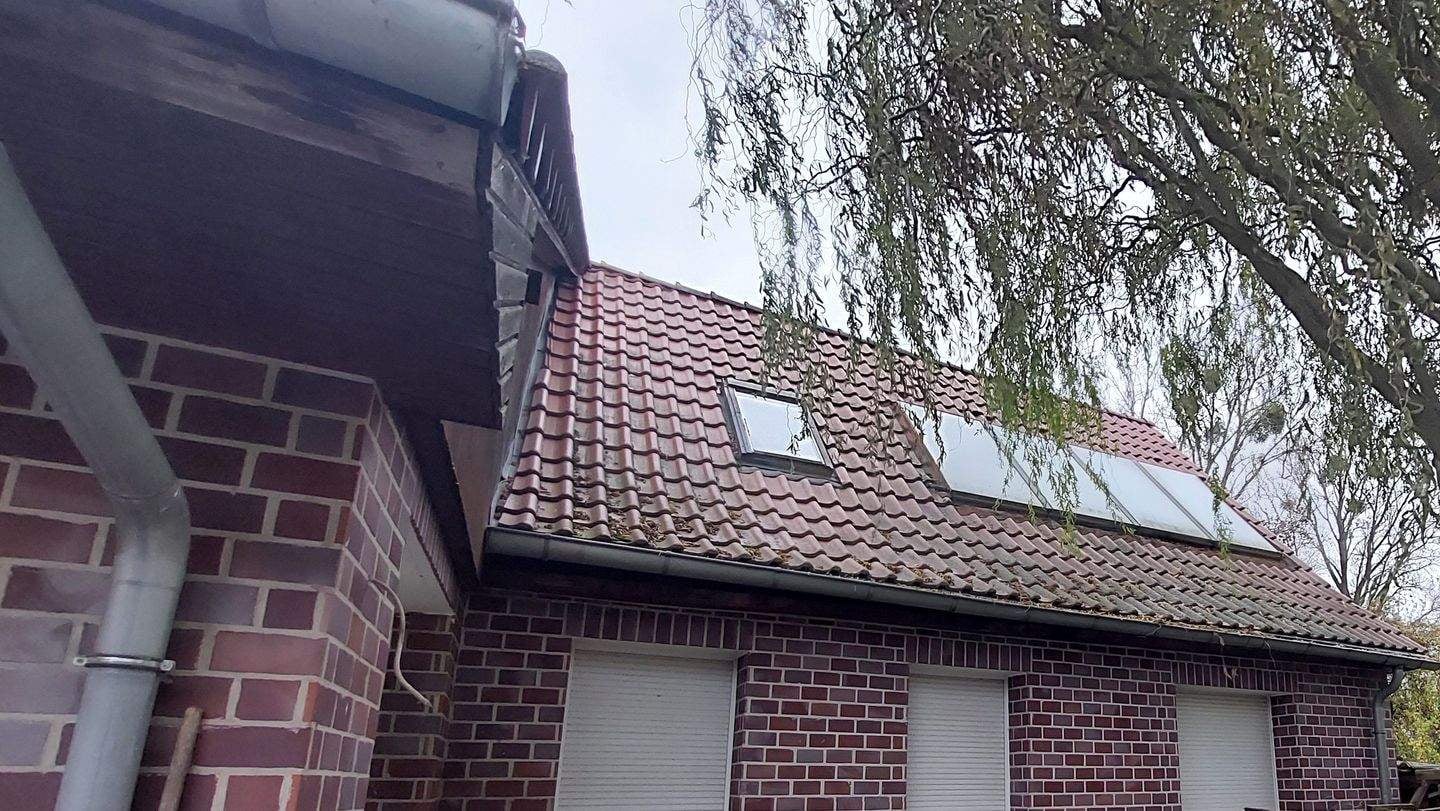 Immobilie in Alt Tucheband - Bauernhaus in Randlage mit Restleistungen - Preis verhandelbar - Bild 3