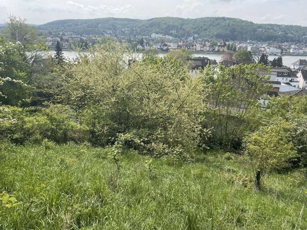 Immobilie in Erpel - Spektakuläre Aussichtslage, unverbaubarer Rheinblick! - Bild 2