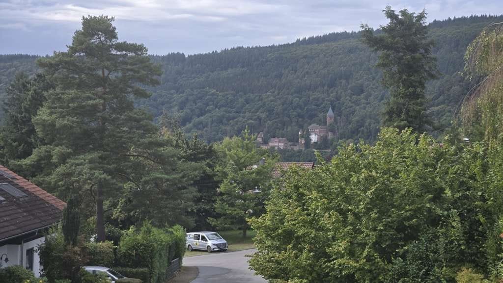 Immobilie in Zwingenberg - Attraktiv gestaltetes Einfamilienhaus in ruhiger, naturnaher Lage mit Blick auf das Schloss - Bild 2