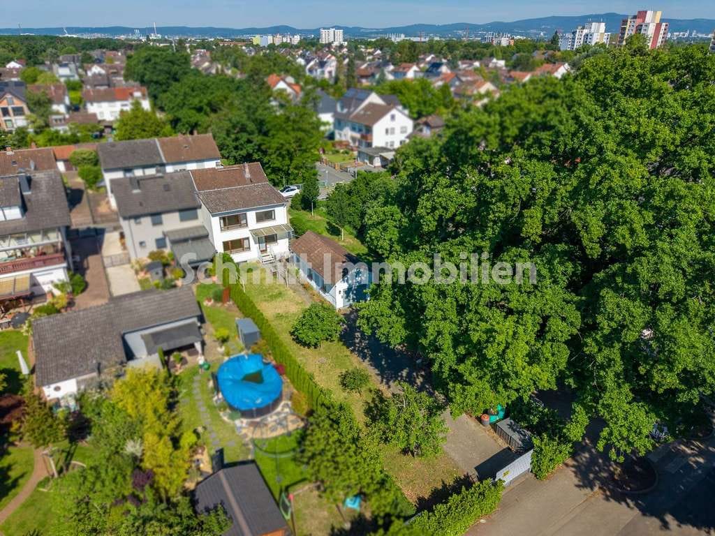 Immobilie in Frankfurt am Main - Ein Haus für Familie, Garten und neue Ideen - Bild 2