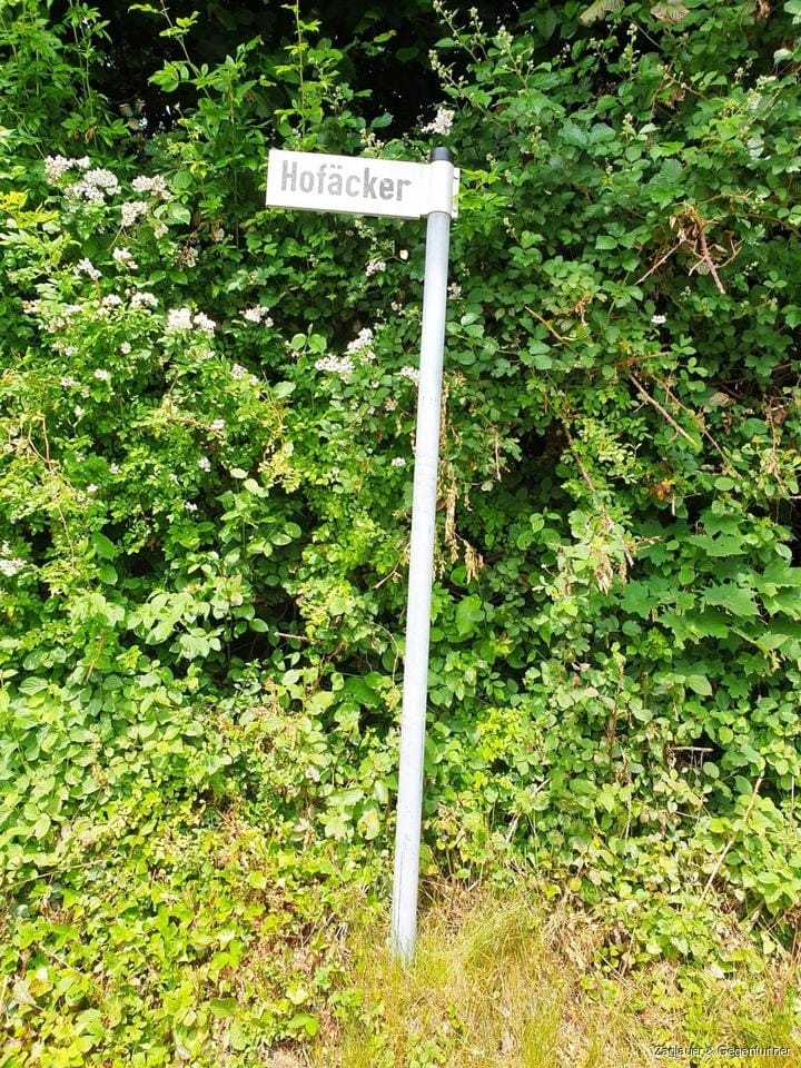 Immobilie in Grafling - Schmuckes Wohnhaus - renovierungsbedürftig - großer Garten. Grafling Hofäcker - Bild 0