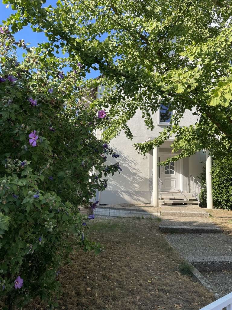 Immobilie in Gimbsheim - Einfamilienhaus mit viel Platz - Bild 1