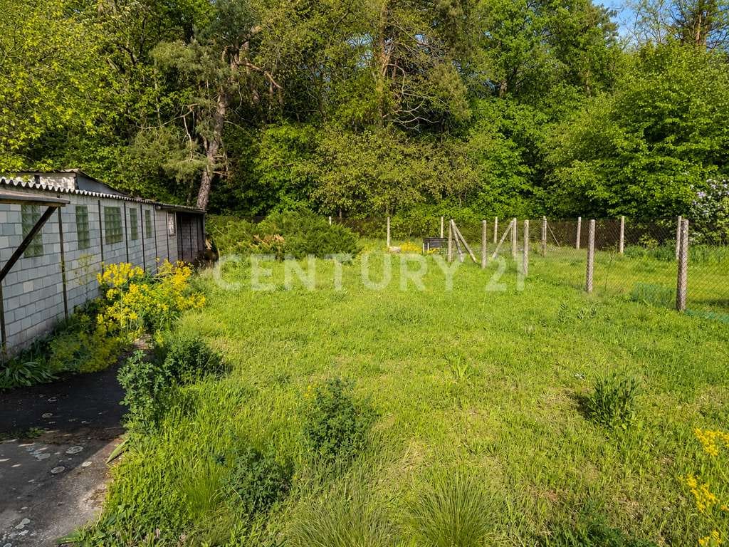 Immobilie in Werneuchen - Vielseitiges Immobilienensemble in ruhiger Lage - Bild 4