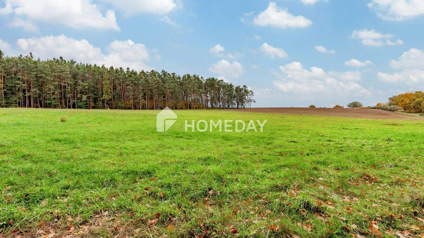 Immobilie in Abenberg - 8,79 ha: Großflächiges Areal für Landwirtschaft, Forst und Neugestaltung - Bild 2