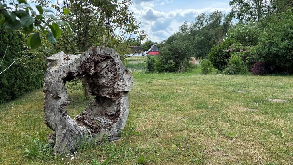 Immobilie in Katzow - Wohnidylle auf dem Dorf - Bild 4