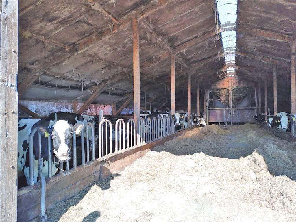Immobilie in Krummhörn - Seltenheitswert - Pferdeliebhaber aufgepasst - Renovierungsbedürftiger Resthof mit historischem Charme zu verkaufen - Bild 4